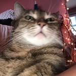 jack weed - @eatbrick_kid - Instagram