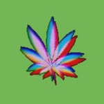 Jack Weed - @jackchapaweed - Instagram