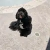 jacksonweibel - @jacksonweibel - TikTok