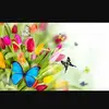 Jackie Weigel - @jw9067 - TikTok