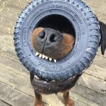 JACK - @jackweiler2016 - Instagram