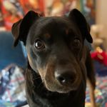 Jack Weiler - @jackweiler_bruno - Instagram