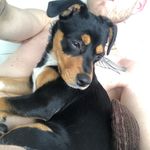 Paulina - @pauli_jack_weiler - Instagram
