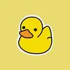 Duck - @jack.weinstein8 - TikTok