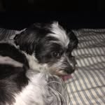 Jackson Weinstock - @jacksonweinstock - Instagram