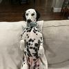 Jack Weitzel - @jack.weitzel - TikTok