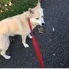jackwelbourne77 - @jackwelbourne77 - TikTok