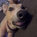 Jack Jack Weldon - Facebook