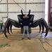 Jack Welke - Facebook