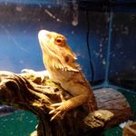 Jack Wendel - @jackjackattack_09 - Instagram