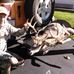 Jack Wentz - Facebook
