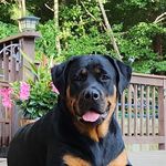 Jack Westfall - @jwestfall33 - Instagram