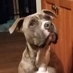 Jack Westman - @westman1151 - Instagram