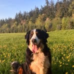 Jack Wyant - Facebook