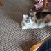 Jack Wheatbrook - Facebook