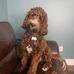 Jack Wheaton - Facebook