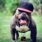 Jack Wheaton Jr. - @mrdjllease - Instagram