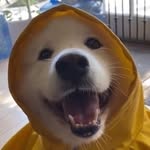 Jack Whelchel - @jack_whelchel - Instagram