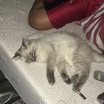 Jake Whelchel - @nigga_tryme_17 - Instagram