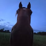 Jack  whitley - @jackwhitley2024 - Instagram