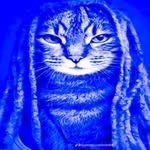 Jack Whitley - @jack.whitley1 - Instagram