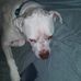 Jack Wickline - Facebook
