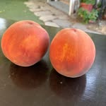 Jack Wilbur - @3squaresproducefarms - Instagram