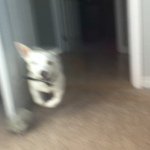 Jack Wilbur - @jackbub - Instagram