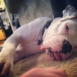 Jack Wilbur Davies - @jack_wilbur - Instagram