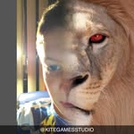 Jack Wilbur-merlo - @jack_wilburmerlo - Instagram