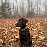 Jack Wilkerson - @jack_wilkerson15 - Instagram