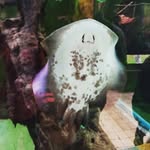 Jack Willcox - @jack_willcox13 - Instagram