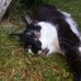 Jack Willett - Facebook