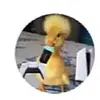 jackwillett77 - @jackwillett77 - TikTok