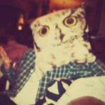 Jack Wilton - @jackinapes - Instagram