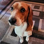 Jack Winchester - @jackwinchestertheexplorer - Instagram