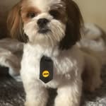 Jack Winchester - @jack_winshester - Instagram