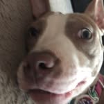 Jack Winston - @jackari0cart - Instagram