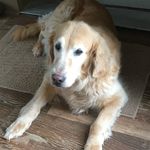 Jack Wirth - @wirth_jack - Instagram