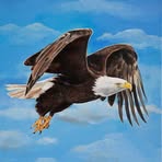 Jack Wittig - Facebook