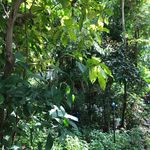 Jackworth - @jackworths - Instagram