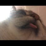 @jackwray925 - Instagram