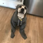 Jackson Yingling - @jackson_yingling - Instagram