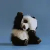 Jack Yuen - @jackyuen44 - TikTok