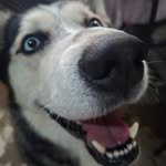 Jackesito - @jack_zamora1 - Instagram
