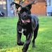 Jack Zenger - Facebook