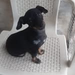Jacki Salazar - @adamaris_alava - Instagram