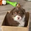 Jacki Williams - @jacki.williams0 - TikTok