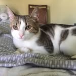 Jackie Aaron - @jaaron2144 - Instagram
