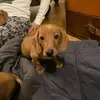 Jackie Abbott267 - @jackieabbott2 - TikTok